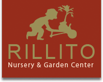 Rillito Nursery
