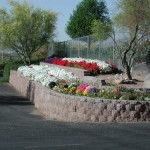 Flower Grdn 5 1999