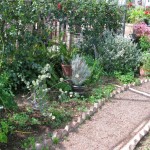 Herb Grdn 1 2010