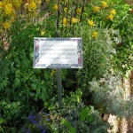 Herb Grdn 3 2010