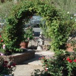 Rose Grdn 4 2007