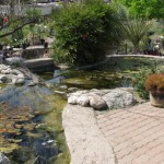 Water Grdn 1 2010