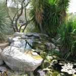 Water Grdn 2 2010