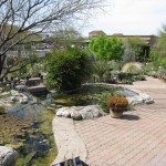 Water Grdn 4 2010