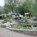 Water Grdn 6 2009
